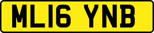 ML16YNB