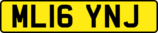 ML16YNJ