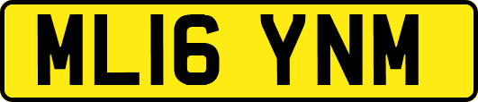 ML16YNM