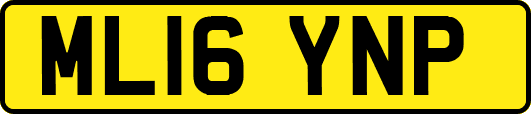 ML16YNP