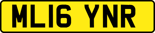 ML16YNR