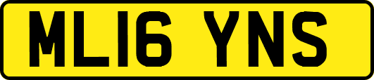 ML16YNS