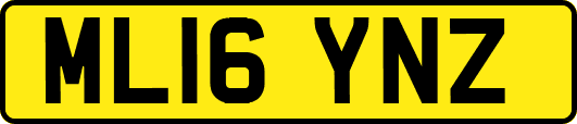 ML16YNZ