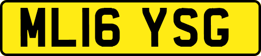 ML16YSG