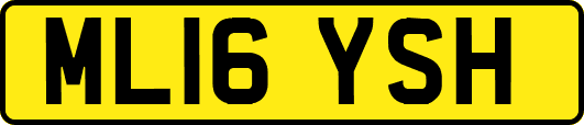 ML16YSH