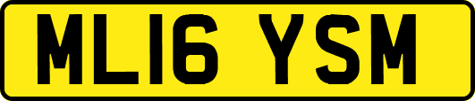 ML16YSM