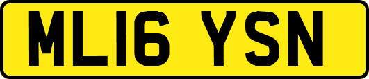 ML16YSN