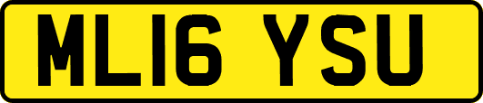 ML16YSU