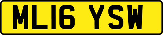 ML16YSW