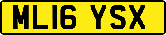 ML16YSX