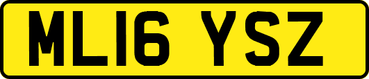 ML16YSZ
