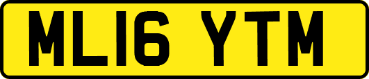 ML16YTM