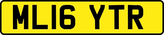 ML16YTR