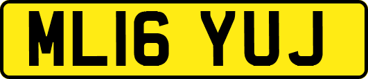 ML16YUJ