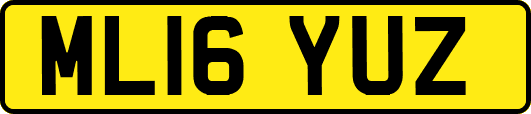 ML16YUZ