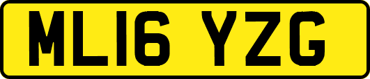 ML16YZG