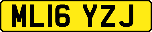 ML16YZJ