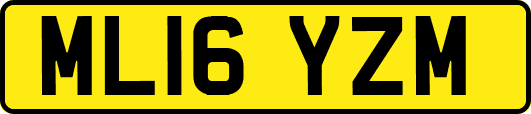 ML16YZM