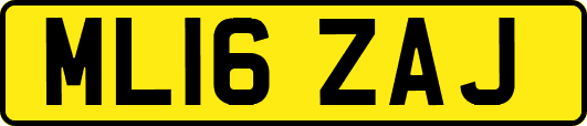 ML16ZAJ