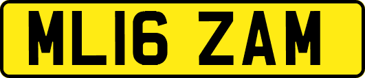 ML16ZAM