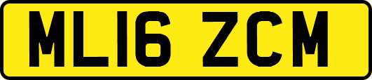 ML16ZCM