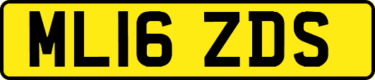 ML16ZDS