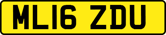 ML16ZDU