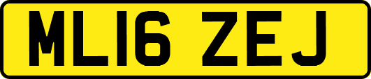 ML16ZEJ