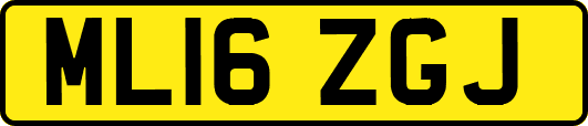 ML16ZGJ