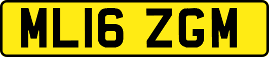 ML16ZGM