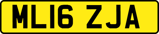 ML16ZJA