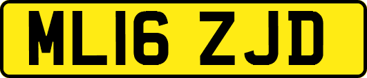 ML16ZJD