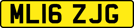 ML16ZJG