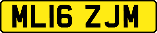 ML16ZJM