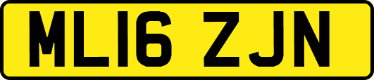 ML16ZJN