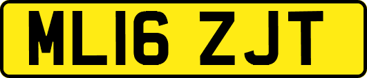 ML16ZJT