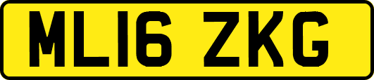 ML16ZKG