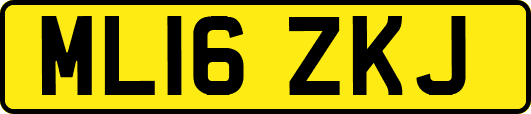ML16ZKJ