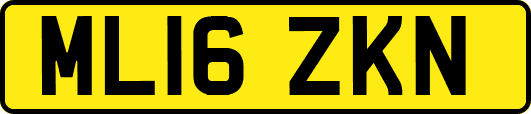 ML16ZKN
