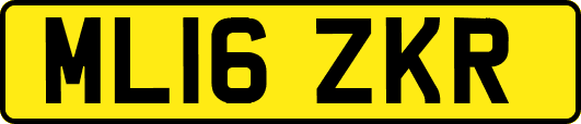 ML16ZKR