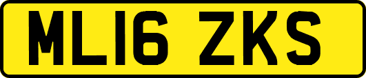 ML16ZKS