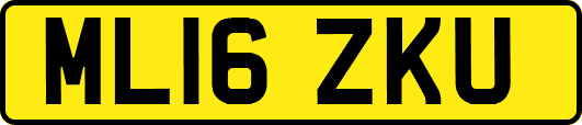 ML16ZKU