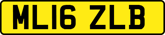 ML16ZLB