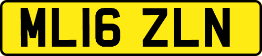 ML16ZLN