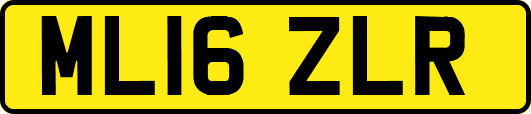 ML16ZLR