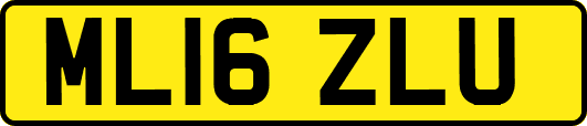 ML16ZLU
