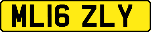 ML16ZLY