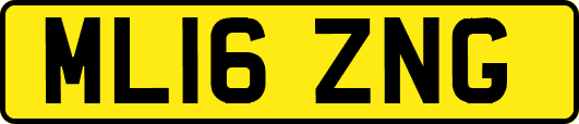 ML16ZNG