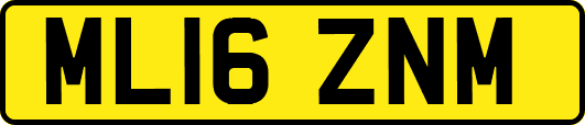 ML16ZNM