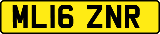 ML16ZNR